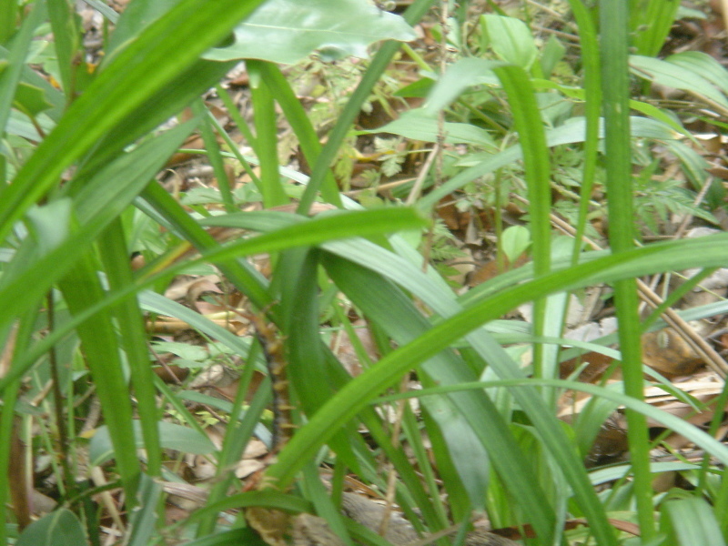 c0108460_00453328.jpg