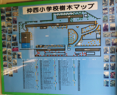 c0180460_23364250.jpg