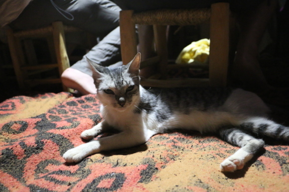 e0255060_02012086.jpg