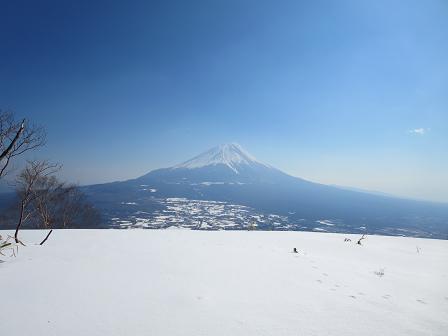 雨ヶ岳　　笹なしの山頂より富士山を望む_f0302771_19584313.jpg