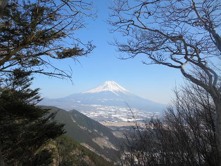 雨ヶ岳　　笹なしの山頂より富士山を望む_f0302771_19593172.jpg