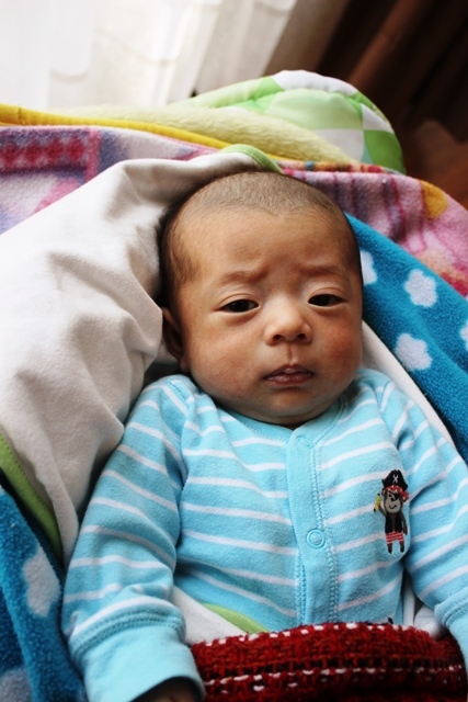 生後二か月と渡墨6年 ビバ メヒコ 生後二か月と渡墨6年 ビバ メヒコ