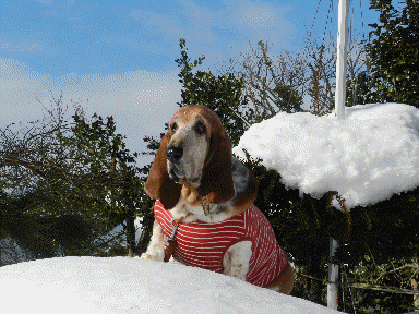 f0205887_1122090.gif