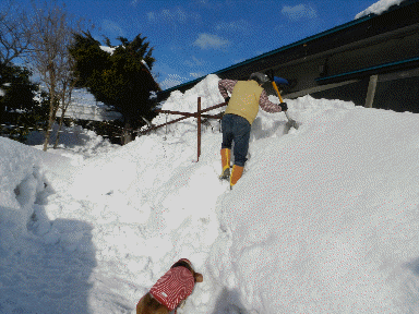 f0205887_114329.gif