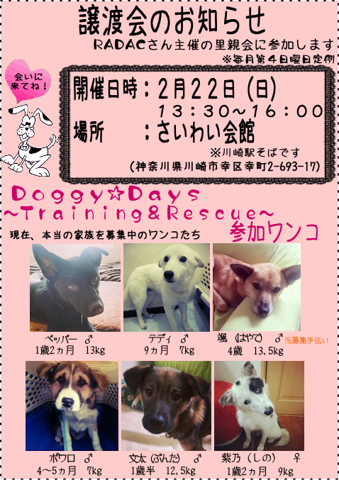 c0351089_163597.png