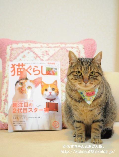 猫ぐらし_a0126590_23030172.jpg
