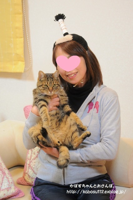 猫ぐらし_a0126590_23034146.jpg
