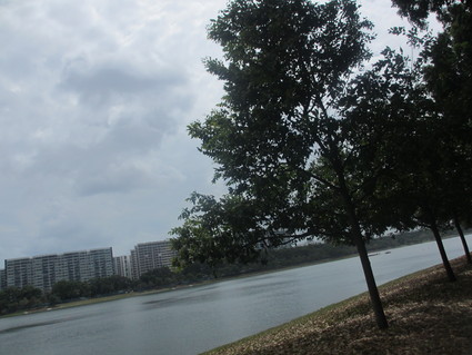 c0212604_21485835.jpg