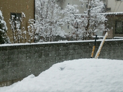 f0255704_18104395.jpg