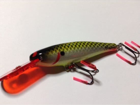 custom baits