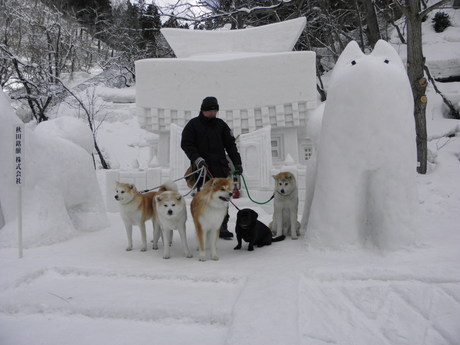 犬っこ祭りぃ～～♪前編_b0285010_1123727.jpg