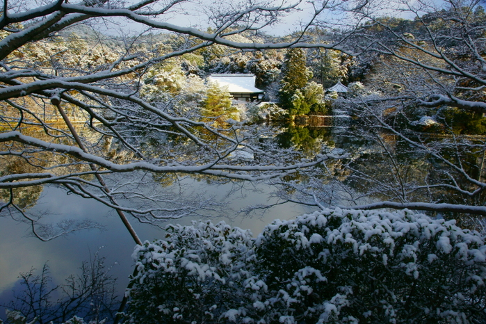 冬の龍安寺_e0177413_14585385.jpg