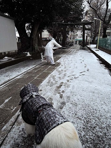 ボツ・クローカ救済コーナー（1月後半）_c0062832_1051952.jpg