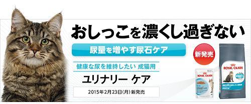 ロイヤルカナン【ユリナリーケア】お試しサンプル50g　1200名様プレゼント_b0141240_22505955.jpg