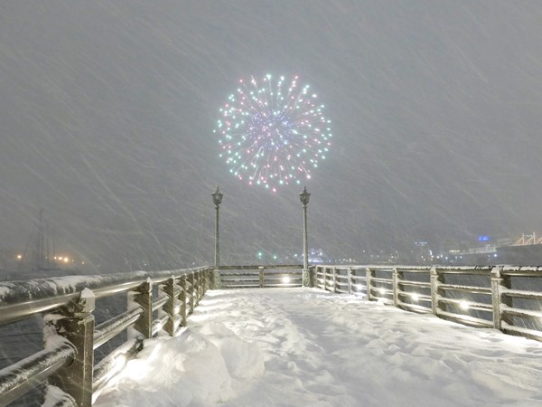 降る雪と咲く花の間_d0179447_20361317.jpg