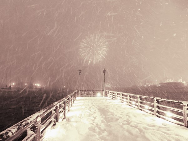 降る雪と咲く花の間_d0179447_20362336.jpg