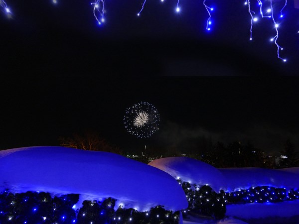 降る雪と咲く花の間_d0179447_2040650.jpg