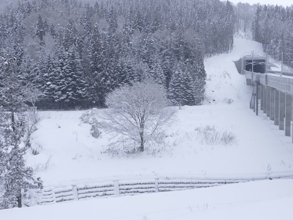 新幹線と会えない day1_d0179447_22212041.jpg