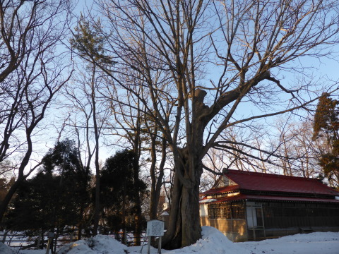 b0238249_09245193.jpg