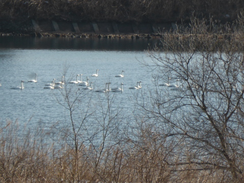 b0238249_09452349.jpg