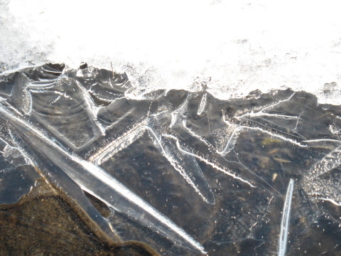 b0238249_09512297.jpg