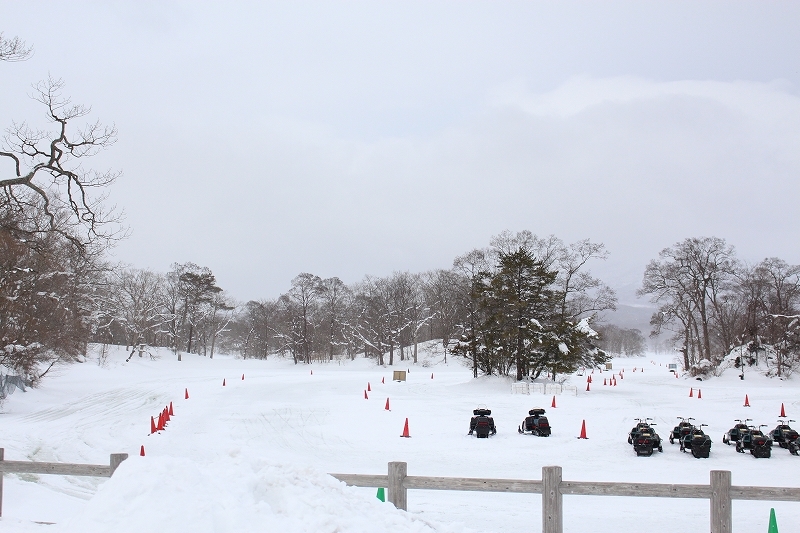 2月15日　大沼公園の広場では_b0250154_06585839.jpg