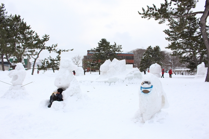 2月15日　大沼公園の広場では_b0250154_06593339.jpg