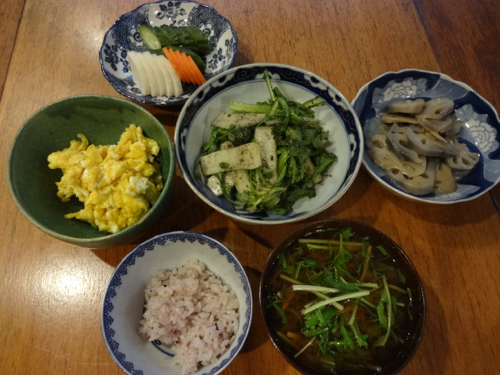 有難豚（ありがとん）に会いに_c0133561_2201417.jpg