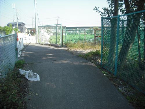 b0206463_04638.jpg