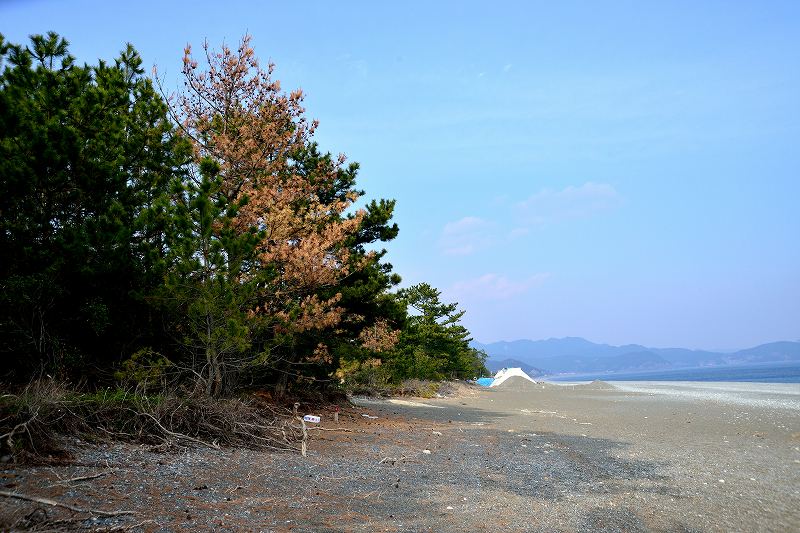 d0045383_21435152.jpg
