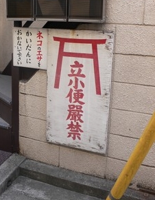 a0163788_20282355.jpg