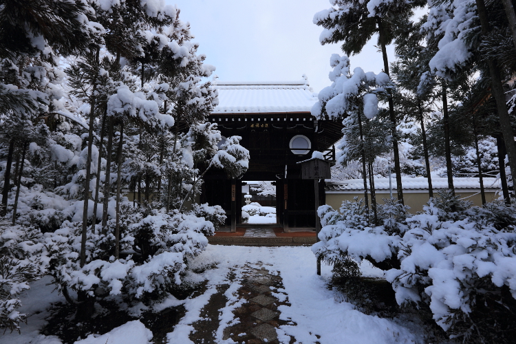 源光庵_e0051888_559266.jpg