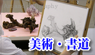 d0000995_2342468.png