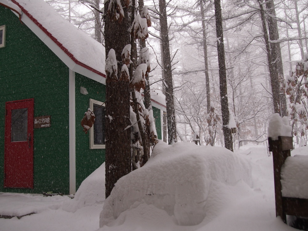 昨夜から昼間にかけての中札内村・・ひさびさの大雪になりました。_f0276498_13082983.jpg