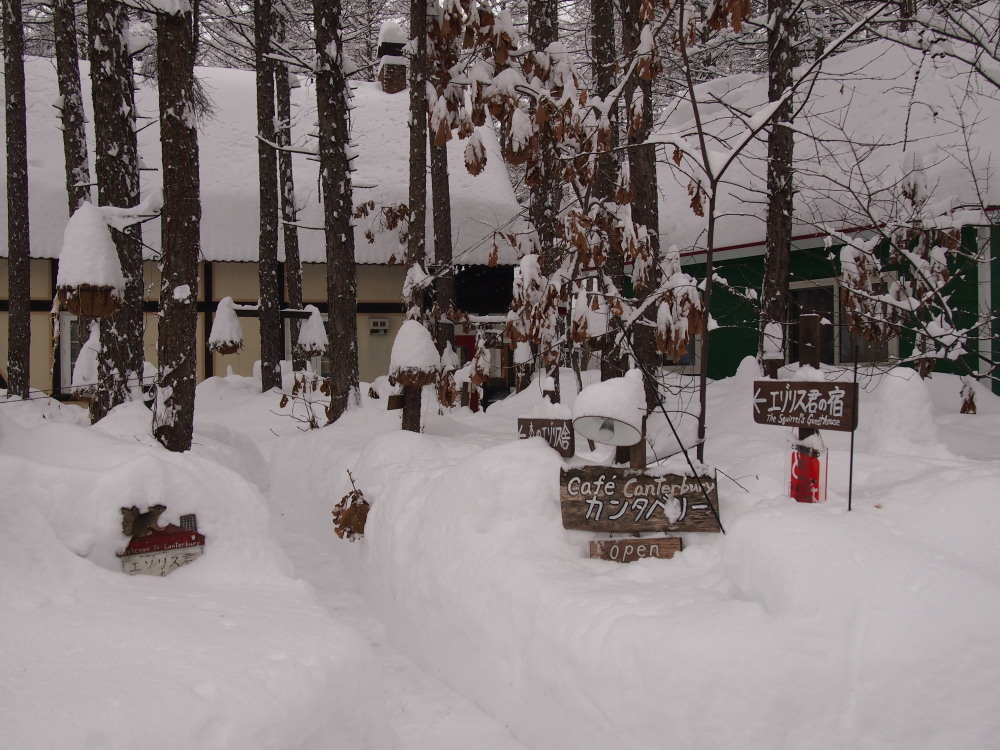 昨夜から昼間にかけての中札内村・・ひさびさの大雪になりました。_f0276498_13114517.jpg