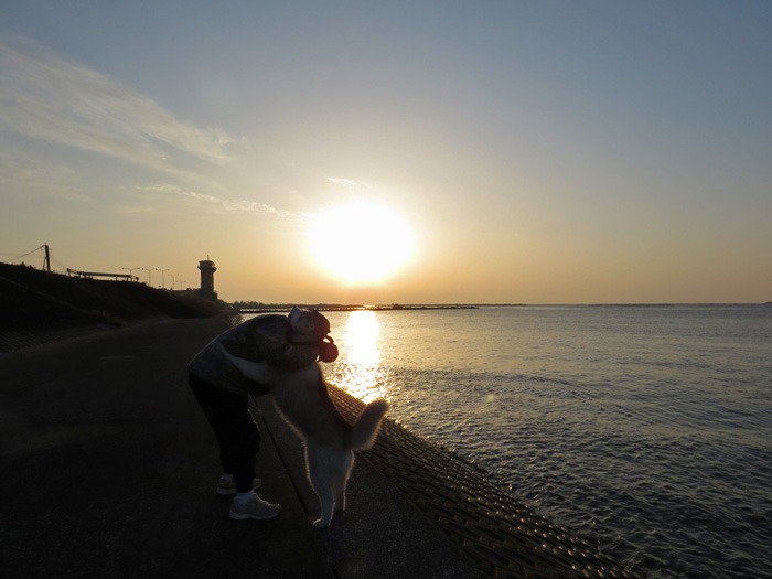 またまたこんな感じの…… (^o^)_c0049299_22384780.jpg