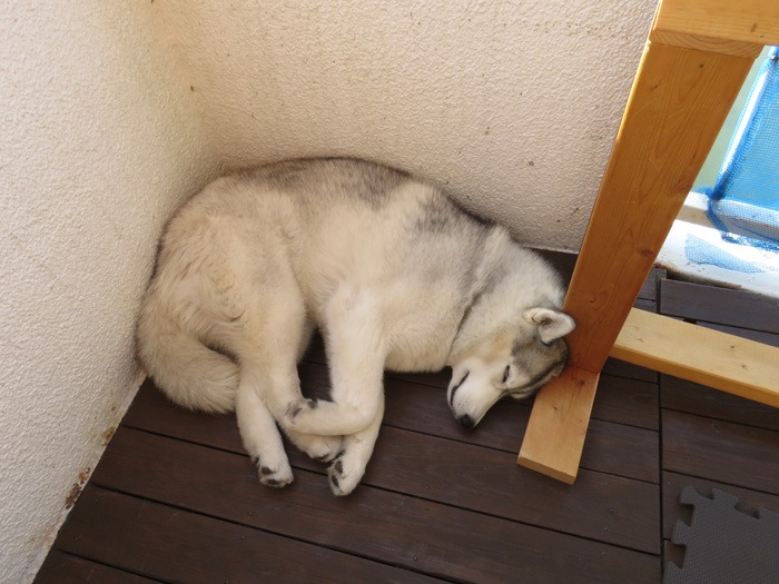 またまたこんな感じの…… (^o^)_c0049299_22392819.jpg