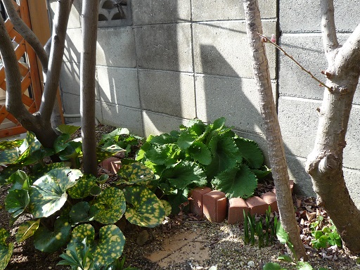 e0234004_1863716.jpg