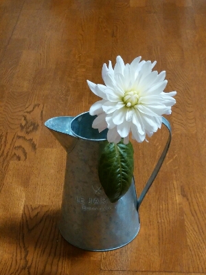 今日のお花_f0255704_21335486.jpg