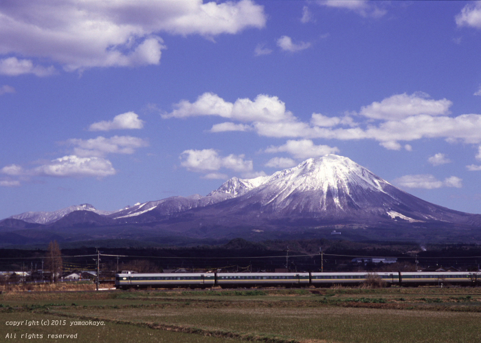 小春日和の大山を背に_d0309612_2315235.jpg