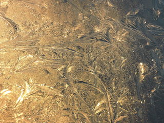 c0248013_21153714.jpg
