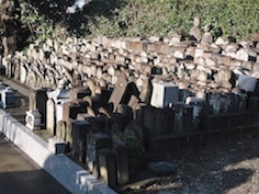 c0248013_2128719.jpg