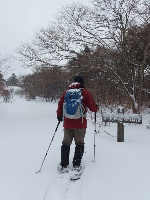 スノシューで、小室井山 その１_c0116915_016818.jpg