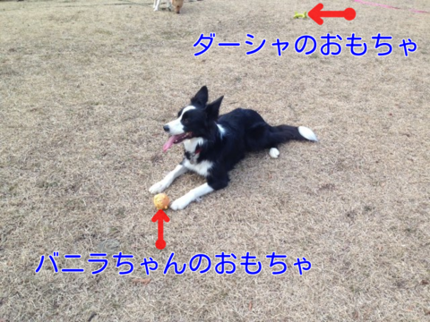a0232619_17263520.png