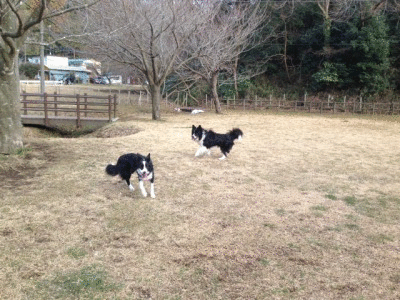 a0232619_17281431.gif