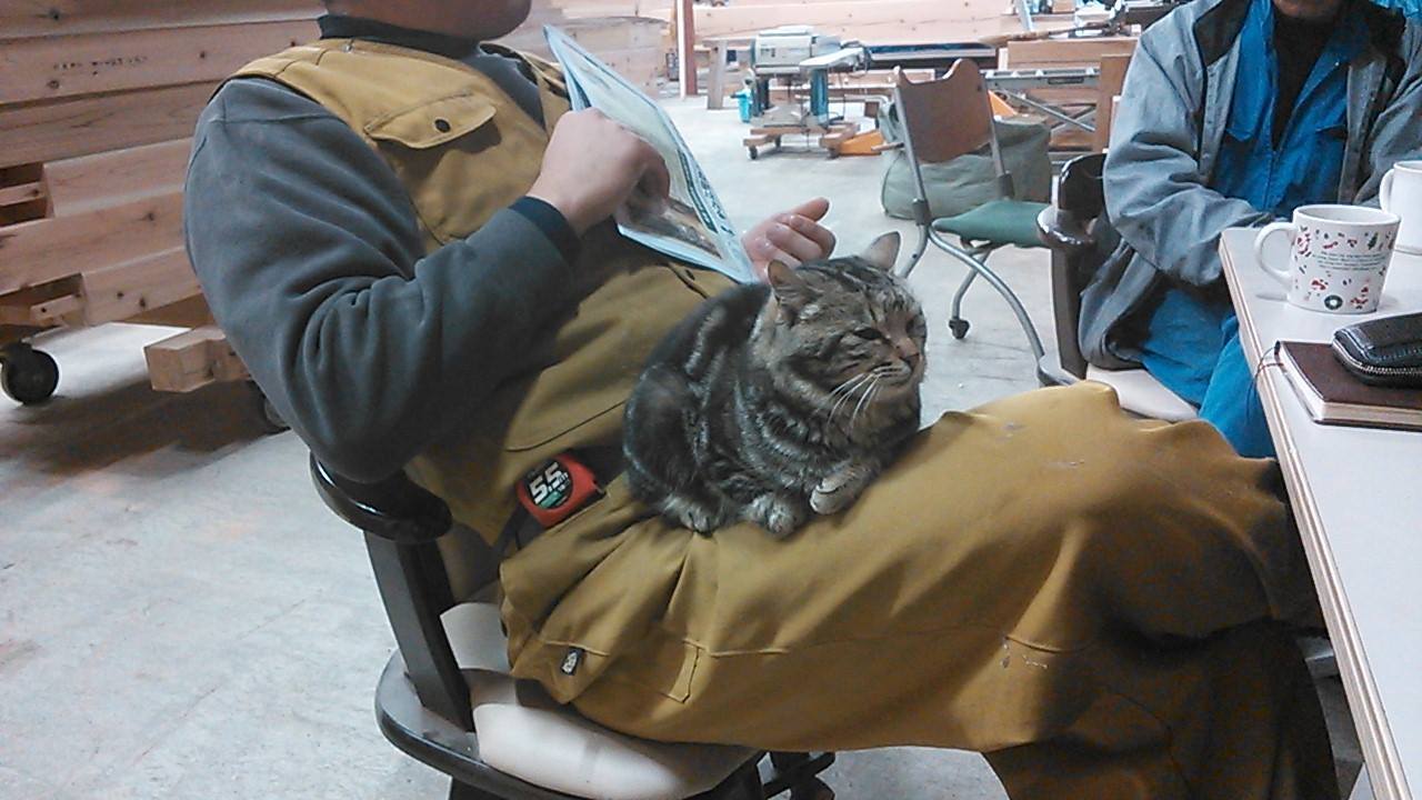 a0322824_20240501.jpg