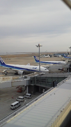 あらら_d0014133_5392863.jpg