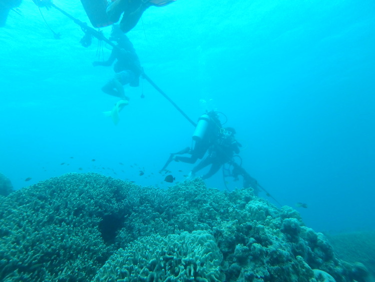 e0069433_2413748.jpg