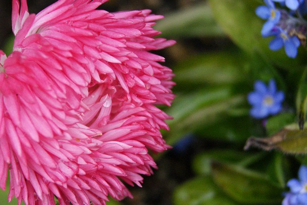 c0298740_22511559.jpg