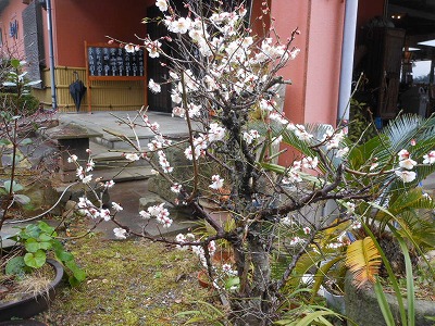 c0203348_169815.jpg